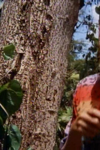 Poster de Episódio New Acquaintance (1990)