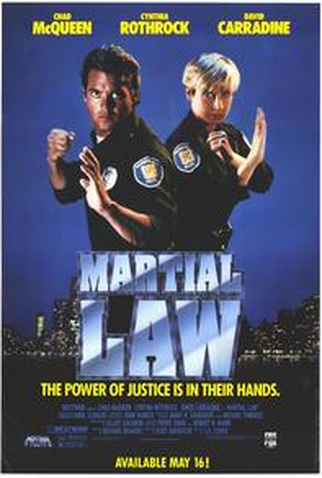 Poster 2 de Filme Leis Marciais (1990)