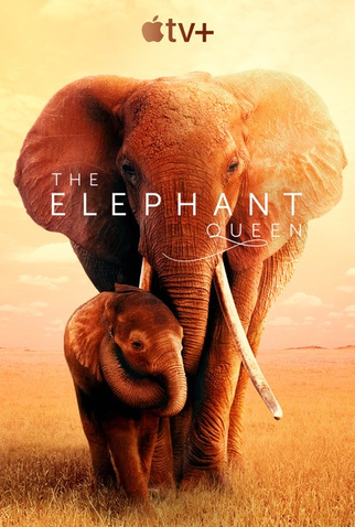 Poster 2 de Filme The Elephant Queen (2019)
