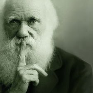 Foto de perfil de Mr. Darwin