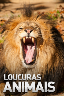 Loucuras Animais - Poster / Capa / Cartaz - Oficial 1