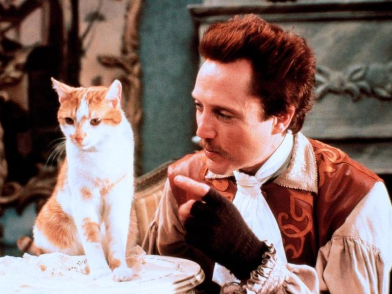 Foto 1 de O Gato de Botas