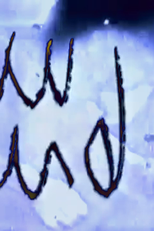 Trasferimento di Modulazione (Trasferimento di Modulazione)