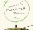 Mare's Nest