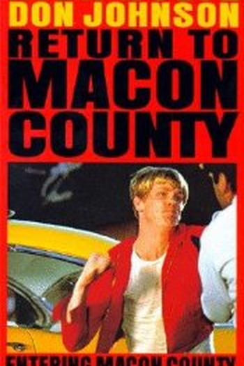  de Filme Louca Perseguição (1975)