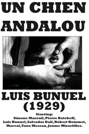  de Curta Um Cão Andaluz (1929)