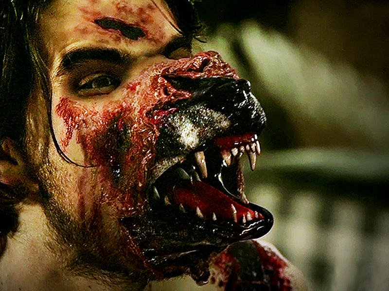 Foto 2 de Hemlock Grove (1ª Temporada)