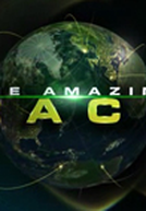 The Amazing Race (20ª Temporada) (The Amazing Race 20)