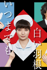 Itsumademo Shiroi Hane (いつまでも白い羽根)