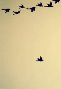 A Vida Curta e Triste da Liberdade (A Vida Curta e Triste da Liberdade)