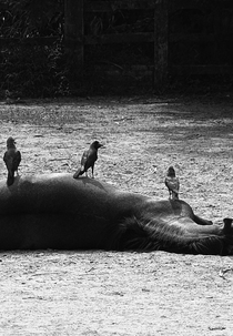 A Boring Film (Ekti ekgheye film)