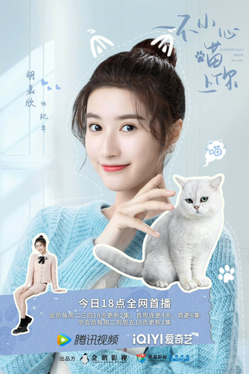  de Série Accidentally Meow On You (2022)