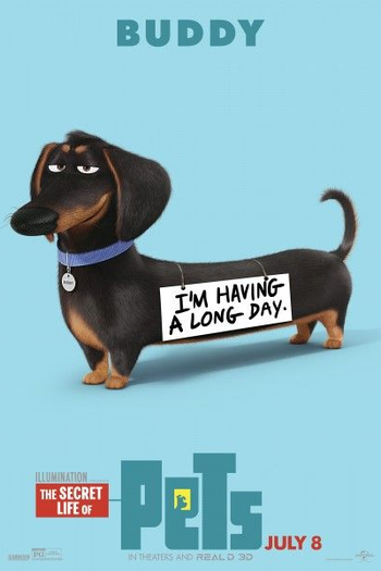  de Filme Pets: A Vida Secreta dos Bichos (2016)
