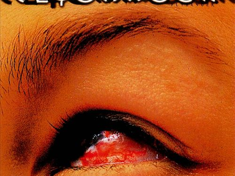 Foto 4 de Flybanger: Outlived