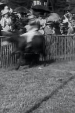 Course d'ânes: II, La course (Course d'ânes: II, La course)