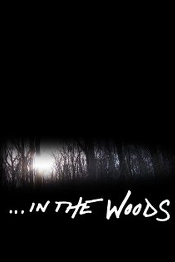 Poster de Série In the Woods (2013)