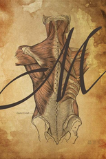 M Is for Man, Music and Mozart (M Is for Man, Music and Mozart)