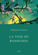 A Voz do Rouxinol (La voix du rossignol)