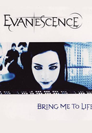 Evanescence ft. Paul McCoy: Bring Me to Life (Evanescence feat. Paul McCoy: Bring Me to Life)