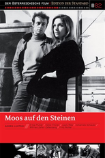 Moss of the stones (moos auf den steinen)