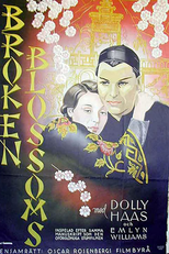 Lírio Partido (Broken Blossoms)