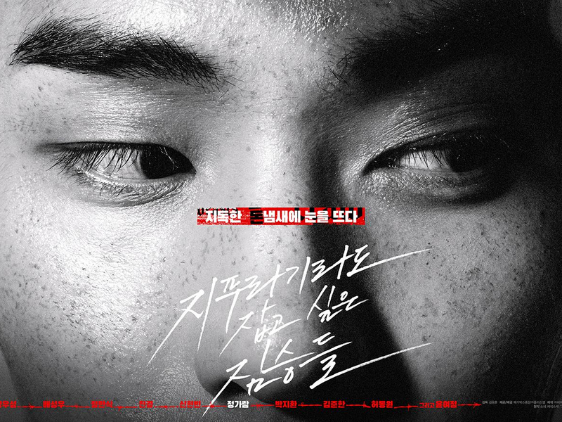 Foto 2 de Golpe de Sorte