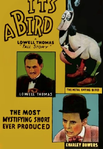 It's a Bird (It's a Bird)