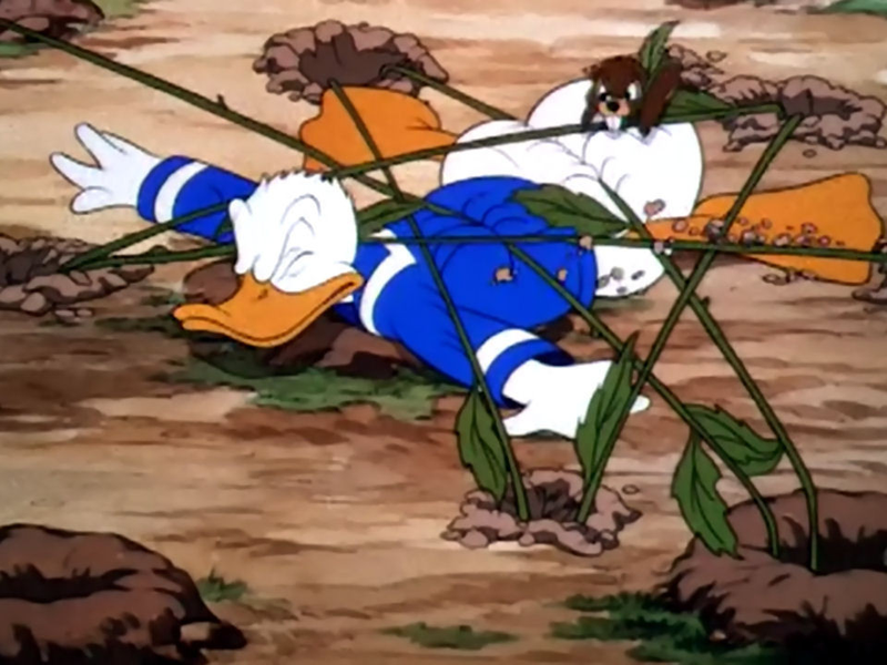 Foto 1 de Donald's Garden 