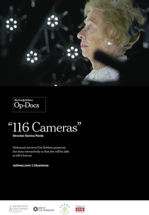 116 Cameras (116 Cameras)