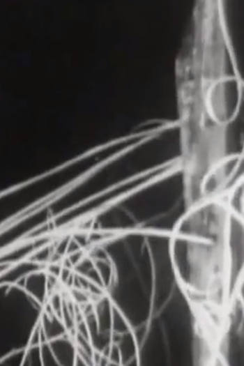  de Curta Mimbre (1958)