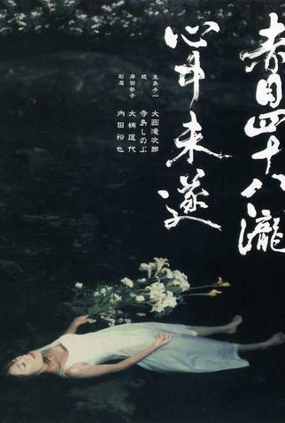 Poster 1 de Filme Akame 48 waterfalls (2003)