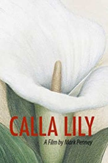 Poster de Filme Calla Lily (2016)