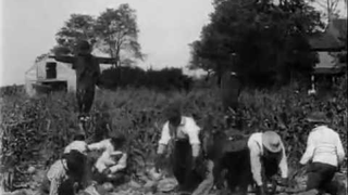 Trailer: The Watermelon Patch (1905) - Wallace McCutcheon | Edwin S. Porter | Thomas Edison
