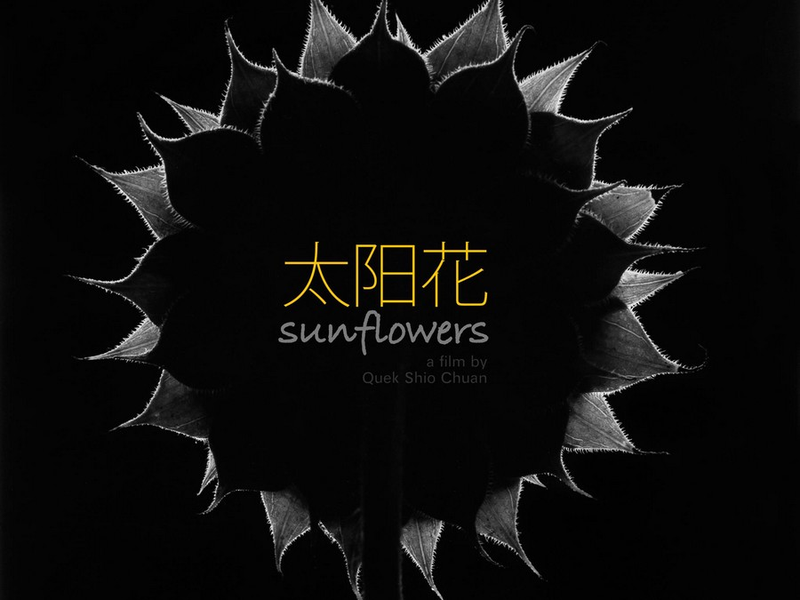 Foto 5 de Sunflowers