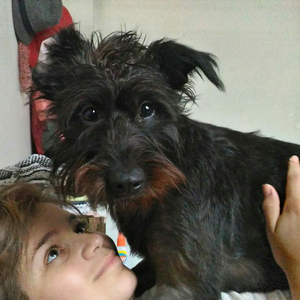 Foto de perfil de Talita Gonçalves Monteiro