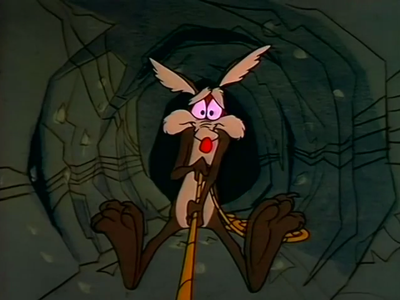 Foto 4 de Lobo Desastrado