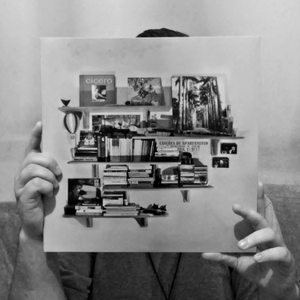 Foto de perfil de David Bruno