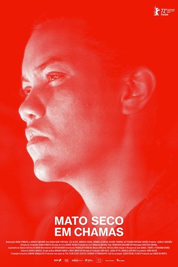 Poster de Filme Mato Seco em Chamas (2023)