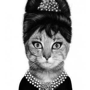 Foto de perfil de patricia de laura borges