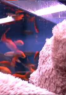 Misery Bear - New Friend (Misery Bear - New Friend)