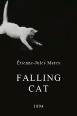 Falling Cat (Falling Cat)