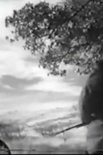 Poster de Episódio Blue Horse (1959)