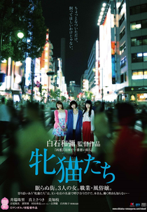 Crepúsculo das Felinas (「牝猫たち」Mesunekotachi)