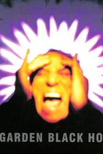 Soundgarden: Black Hole Sun - Poster / Capa / Cartaz - Oficial 1