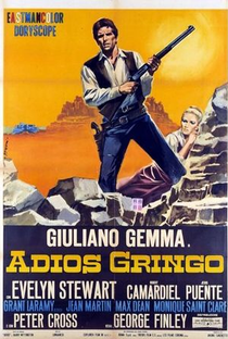 Adeus Gringo - Poster / Capa / Cartaz - Oficial 1