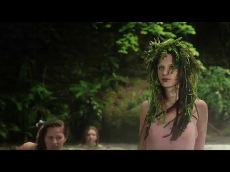 Foto 5 de Le goût des myrtilles 