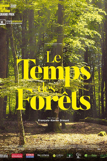 Poster de Filme O Tempo das Florestas (2018)