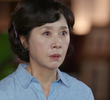 37회