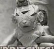 Britches