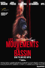 Les mouvements du bassin (Les mouvements du bassin)